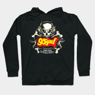 95YNF Tampa Bay's Rock n Roll Pirates Hoodie